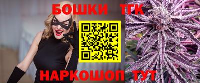 стаф Дубна