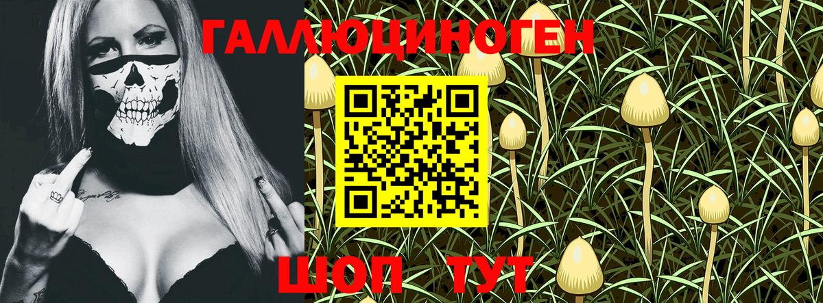 Узловая  Псилоцибиновые грибы GOLDEN TEACHER  Вход с VPN 