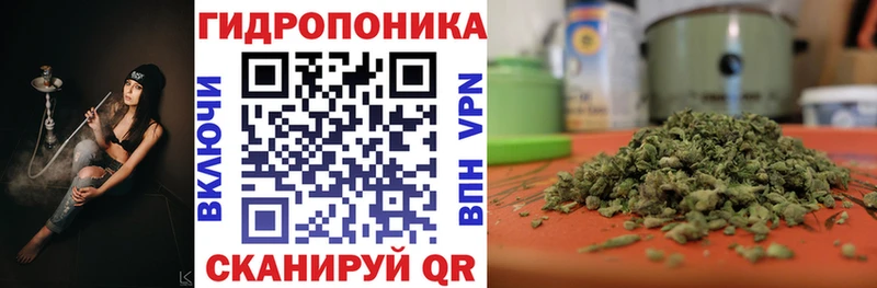 Каннабис гибрид  Узловая 